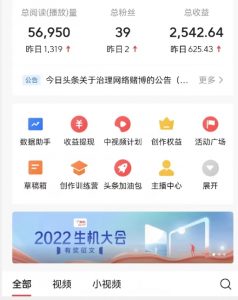 全新蓝海,西瓜视频流量掘金项目,简单上手适合0基础小白,暴力玩法日入500+【揭秘】-风淘社