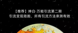 【推荐】绅白·万能引流第二期，引流变现陪跑，所有引流方法亲测有效-风淘社
