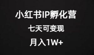 价值2000+的小红书IP孵化营项目,超级大蓝海,七天即可开始变现,稳定月入1W+-风淘社