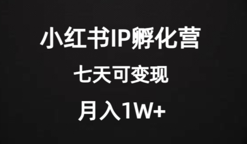 价值2000+的小红书IP孵化营项目,超级大蓝海,七天即可开始变现,稳定月入1W+-风淘社