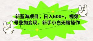 新蓝海项目，日入600+，视频号叠加变现，新手小白无脑操作【揭秘】-风淘社