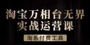 沧海·淘系万相台无界实战运营课,万相台无界实操全案例解析-风淘社