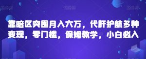 靠暗区突围月入六万,代肝护航多种变现,零门槛,保姆教学,小白必入【揭秘】-风淘社
