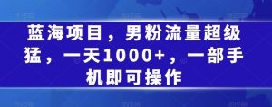 蓝海项目，男粉流量超级猛，一天1000+，一部手机即可操作【揭秘】-风淘社