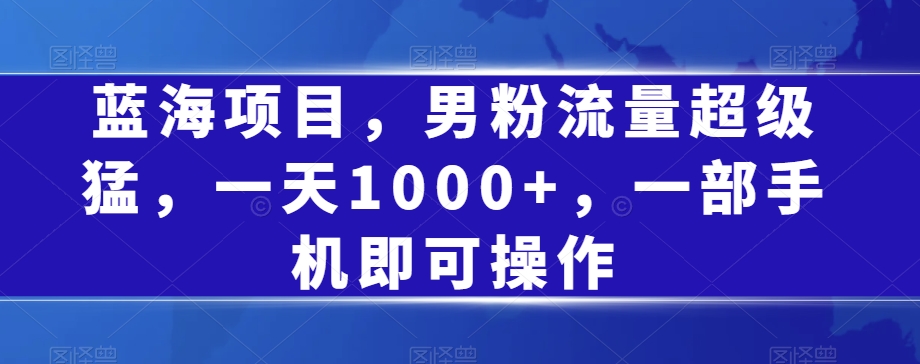 蓝海项目,男粉流量超级猛,一天1000+,一部手机即可操作【揭秘】-风淘社