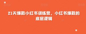 21天爆款小红书训练营,小红书爆款的底层逻辑-风淘社