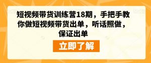 短视频带货训练营18期,手把手教你做短视频带货出单,听话照做,保证出单-风淘社