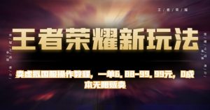 王者荣耀新玩法，卖虚拟国服操作教程，一单6.88-99.99元，0成本无限贩卖【揭秘】-风淘社