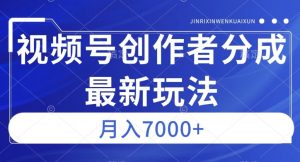 视频号广告分成新方向,作品制作简单,篇篇爆火,半月收益3000+【揭秘】-风淘社