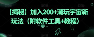 【揭秘】加入200+潮玩宇宙新玩法(附软件工具+教程)-风淘社