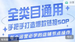 单品爆款打造实操运营，单品爆款从“0”-“1”手把手演练运营步骤-风淘社