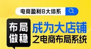 八大体系布局篇·布局做稳,成为大店的电商布局线上课-风淘社