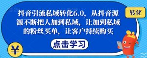 抖音引流私域转化6.0,从抖音源源不断把人加到私域,让加到私域的粉丝买单,让客户持续购买-风淘社
