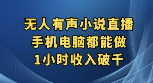 抖音无人有声小说直播，手机电脑都能做，1小时收入破千【揭秘】-风淘社