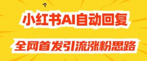 【原创开发】小红书AI自动回复，全网首发引流涨粉思路-风淘社