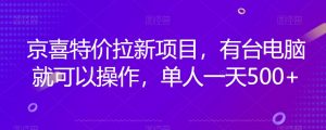 京喜特价拉新新玩法，有台电脑就可以操作，单人一天500+【揭秘】-风淘社