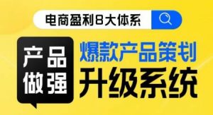 电商盈利8大体系 ·产品做强爆款产品策划系统升级线上课,全盘布局更能实现利润突破-风淘社
