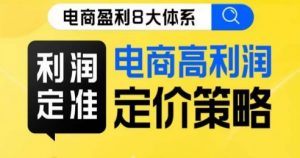 8大体系利润篇·利润定准电商高利润定价策略线上课-风淘社