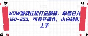 WOW游戏挂机打金搬砖，单号日入150-200，可多开操作，小白轻松上手【揭秘】-风淘社