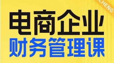 电商企业财务管理线上课,为电商企业规划财税-风淘社