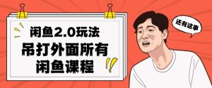 闲鱼2.0玩法单号每天日入2000，吊打市面所有课程-风淘社