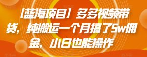 【蓝海项目】多多视频带货,纯搬运一个月搞了5w佣金,小白也能操作【揭秘】-风淘社