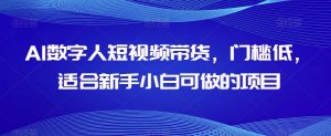 AI数字人短视频带货，门槛低，适合新手小白可做的项目-风淘社