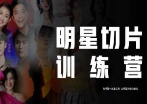 王子·明星切片线上训练营(2023),和明星一起拿红利,让明星为我们赚钱-风淘社