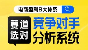 电商盈利8大体系·赛道选对,竞争对手分析系统线上课-风淘社