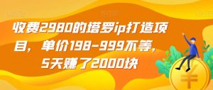 收费2980的塔罗ip打造项目,单价198-999不等,5天赚了2000块【揭秘】-风淘社