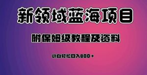 虚拟资源蓝海领域新项目，轻松日入800＋，附保姆级教程及资料-风淘社