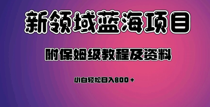 虚拟资源蓝海领域新项目,轻松日入800+,附保姆级教程及资料-风淘社