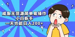 咸鱼无货源简单易操作小白新手一天也能日入200+【揭秘】-风淘社