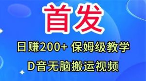 首发,抖音无脑搬运视频,日赚200+保姆级教学【揭秘】-风淘社