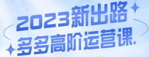 大炮·多多高阶运营课,3大玩法助力打造爆款,实操玩法直接亮出干货-风淘社
