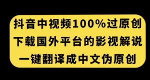 抖音中视频百分百过原创,下载国外平台的电影解说,一键翻译成中文获取收益-风淘社