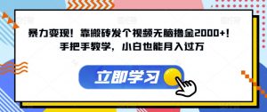 暴力变现!靠搬砖发个视频无脑撸金2000+!手把手教学,小白也能月入过万【揭秘】-风淘社