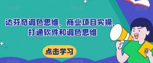 达芬奇调色思维,商业项目实操,打通软件和调色思维-风淘社