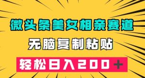 微头条冷门美女相亲赛道，无脑复制粘贴，轻松日入200＋【揭秘】-风淘社
