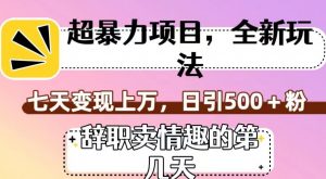 超暴利项目,全新玩法(辞职卖情趣的第几天),七天变现上万,日引500+粉【揭秘】-风淘社