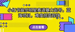 外面收费2980的视频号流量主项目，作品制作简单无脑，单账号日入过千-风淘社
