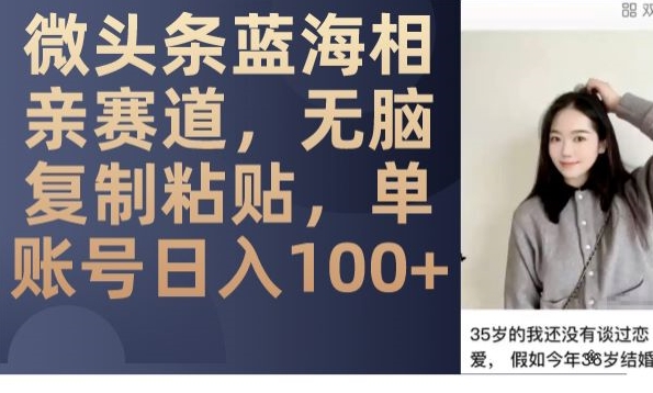 微头条蓝海相亲赛道,无脑复制粘贴,单账号日入100+-风淘社