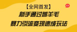 【全网首发】新手通过薅羊毛暴力引流变现速成玩法-风淘社