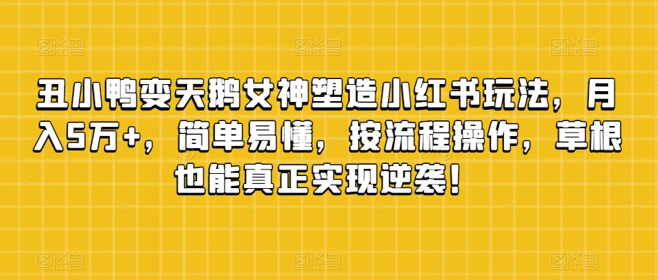 丑小鸭变天鹅女神塑造小红书玩法，月入5万+，简单易懂，按流程操作，草根也能真正实现逆袭！-风淘社