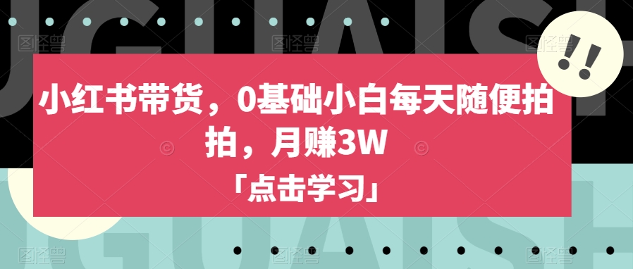 小红书带货,0基础小白每天随便拍拍,月赚3W【揭秘】-风淘社