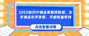 2023知识IP爆品发售双阶班,左手爆品右手发售,开启批量收钱-风淘社