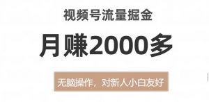 视频号流量掘金，无脑操作，对新人小白友好，月赚2000多【揭秘】-风淘社