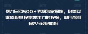暴力日引500+男粉独家思路,将美女做成极具视觉冲击力的视频,单月盈利超2万轻轻松松-风淘社