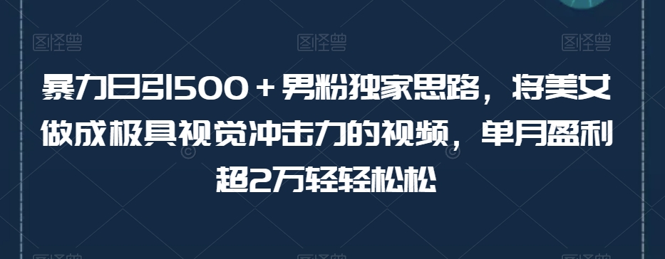 暴力日引500+男粉独家思路,将美女做成极具视觉冲击力的视频,单月盈利超2万轻轻松松-风淘社