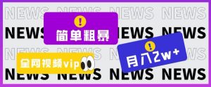 简单粗暴零成本,高回报,全网视频VIP掘金项目,月入2万+【揭秘】-风淘社